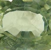Korte PHI